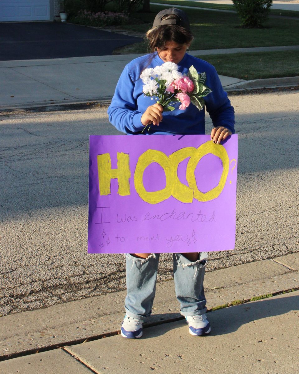 Homecoming proposals often consist of a poster and some flowers.