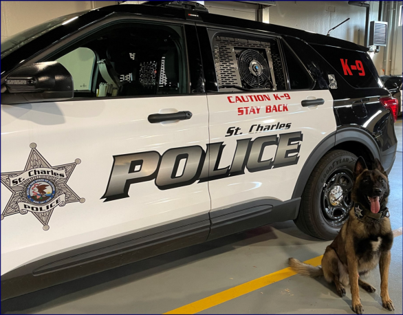 K-9 dog Saint poses in front of a police car.