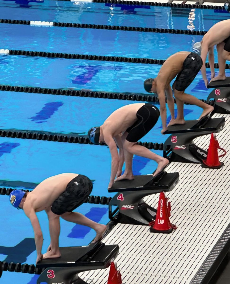 Swimmers prepare for a race during the state competition.