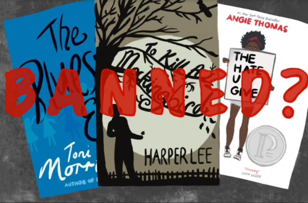 Notable books such as The Bluest Eye by Toni Morrison, To Kill a Mockingbird by Harper Lee and The Hate U Give by Angie Thomas have been challenged at several schools across the country.