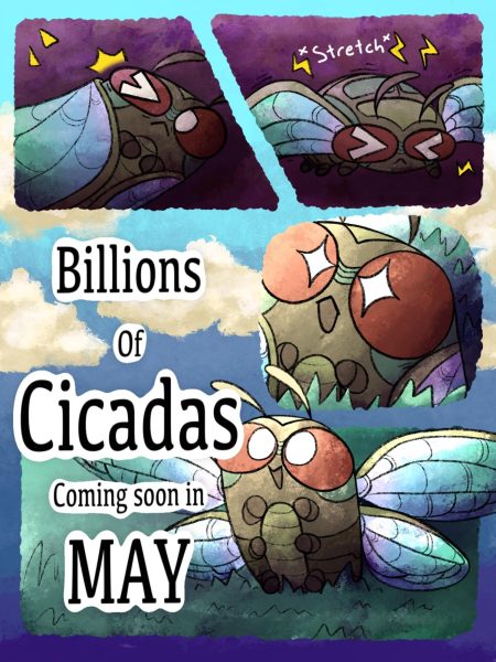 Comic: Billions of cicadas emerge as 13- and 17-year broods coincide