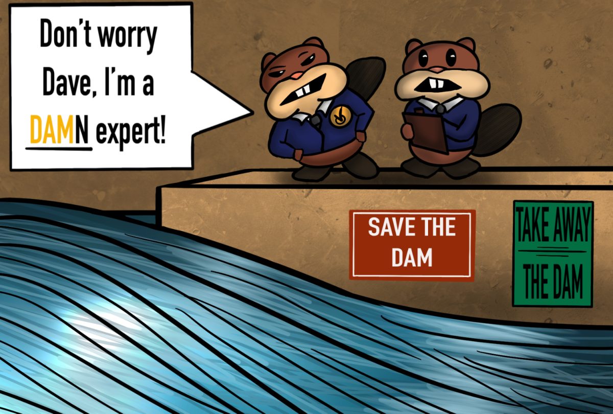 “Beaver Dam Expert” Cartoon - Brianna DeWert