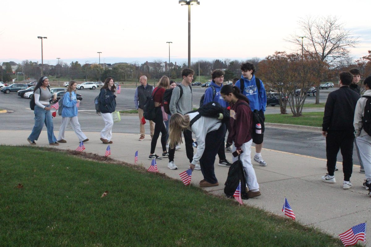 Gallery: SSNHS honors Veteran's Day with flags