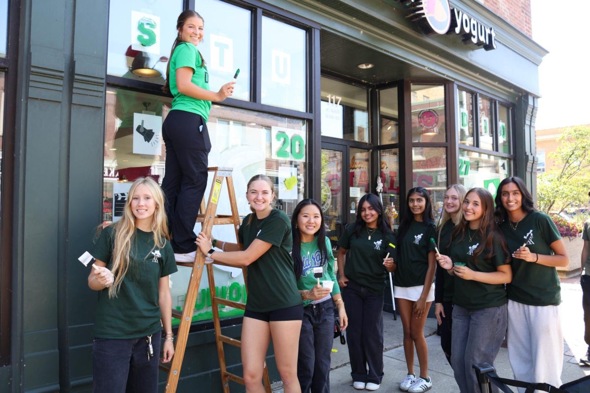 Gallery: Window Painting 2025